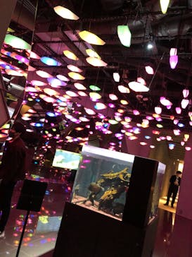 神戸みなと温泉 蓮に投稿された画像（2021/11/26）