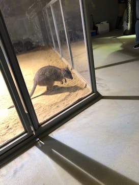 神戸みなと温泉 蓮に投稿された画像（2021/11/26）