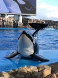 名古屋港水族館に投稿された画像（2021/11/26）