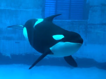 名古屋港水族館に投稿された画像（2021/11/26）