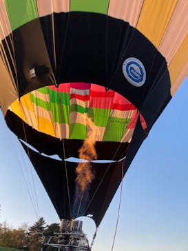 ウイニングバルーンクラブに投稿された画像（2021/11/26）