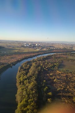 ウイニングバルーンクラブに投稿された画像（2021/11/26）