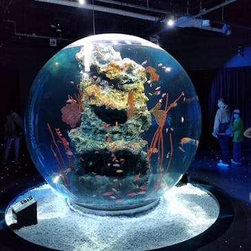 神戸みなと温泉 蓮に投稿された画像（2021/11/26）