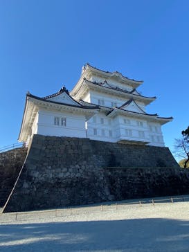 小田原城に投稿された画像（2021/11/26）