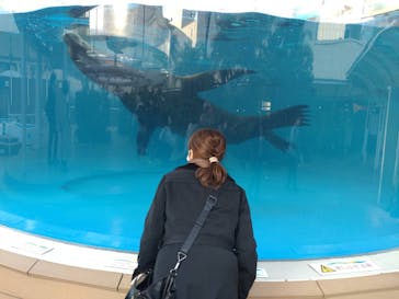 サンシャイン水族館に投稿された画像（2021/11/26）