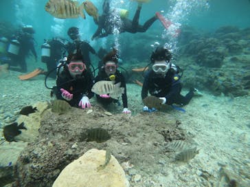 武藤潜水に投稿された画像（2021/11/26）