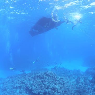 アルファダイブ沖縄に投稿された画像（2021/11/26）