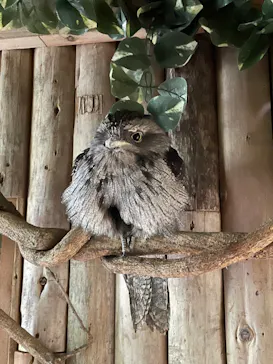 神戸どうぶつ王国に投稿された画像（2021/11/26）