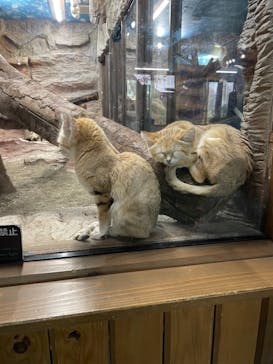 那須どうぶつ王国に投稿された画像（2021/11/26）