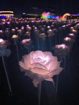 東京メガイルミに投稿された画像（2021/11/26）