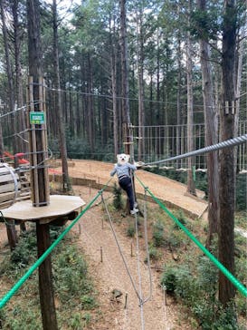 アドベンチャーパーク　オドルの森に投稿された画像（2021/11/26）