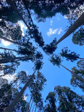 アドベンチャーパーク　オドルの森に投稿された画像（2021/11/26）