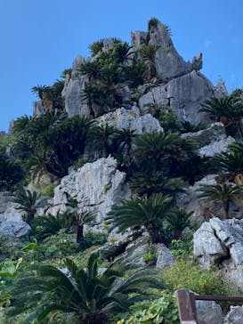 アスムイハイクスに投稿された画像（2021/11/26）