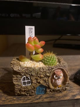 伊豆シャボテン動物公園に投稿された画像（2021/11/26）