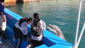 下田海中水族館に投稿された画像（2021/11/26）