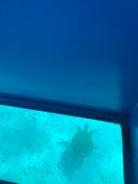 tome cruiseに投稿された画像（2021/11/26）