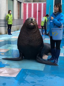 ゼロ距離水族館 伊勢シーパラダイスに投稿された画像（2021/11/26）