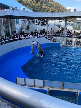 大分マリーンパレス水族館 「うみたまご」に投稿された画像（2021/11/26）