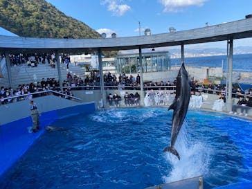 大分マリーンパレス水族館 「うみたまご」に投稿された画像（2021/11/26）