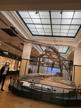 国立科学博物館に投稿された画像（2021/11/26）