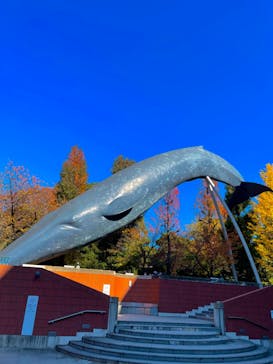 国立科学博物館に投稿された画像（2021/11/26）