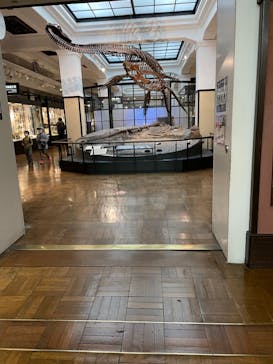 国立科学博物館に投稿された画像（2021/11/26）