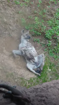 天王寺動物園に投稿された画像（2021/11/26）