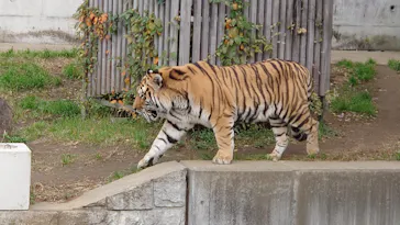 天王寺動物園に投稿された画像（2021/11/26）