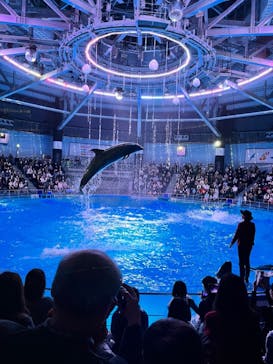 マクセル アクアパーク品川に投稿された画像（2021/11/26）