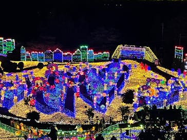 伊豆ぐらんぱる公園に投稿された画像（2021/11/26）