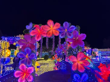 伊豆ぐらんぱる公園に投稿された画像（2021/11/26）