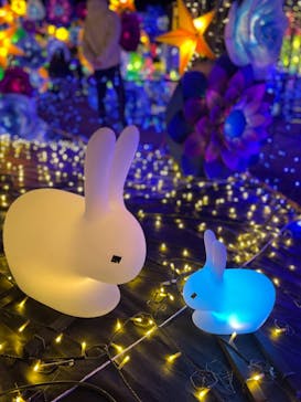 伊豆ぐらんぱる公園に投稿された画像（2021/11/26）