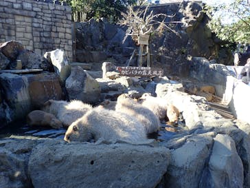 伊豆シャボテン動物公園に投稿された画像（2021/11/26）