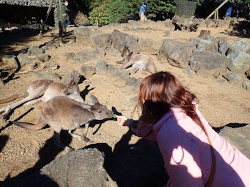 伊豆シャボテン動物公園に投稿された画像（2021/11/26）