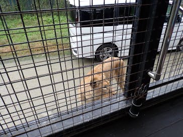 那須サファリパークに投稿された画像（2021/11/26）