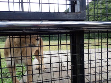 那須サファリパークに投稿された画像（2021/11/26）