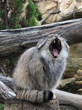 那須どうぶつ王国に投稿された画像（2021/11/27）