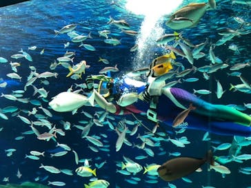サンシャイン水族館に投稿された画像（2021/11/27）
