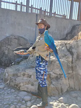 横浜・八景島シーパラダイスに投稿された画像（2021/11/27）