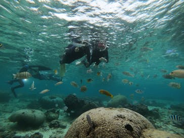 武藤潜水に投稿された画像（2021/11/27）