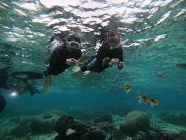 武藤潜水に投稿された画像（2021/11/27）