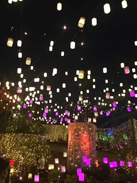 ひらかたパークに投稿された画像（2021/11/20）