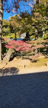 三溪園に投稿された画像（2021/11/27）