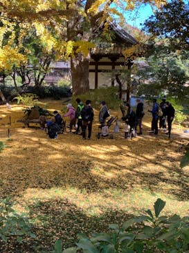 三溪園に投稿された画像（2021/11/27）