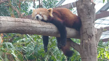 神戸どうぶつ王国に投稿された画像（2021/11/27）