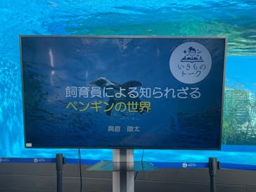 サンシャイン水族館に投稿された画像（2021/11/27）