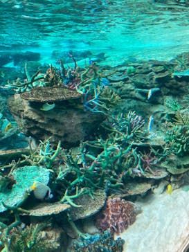 名古屋港水族館に投稿された画像（2021/11/27）