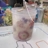 ずこうしつ〜sugamo〜に投稿された画像（2021/11/27）