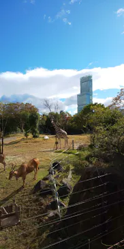 天王寺動物園に投稿された画像（2021/11/27）