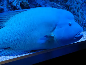 すみだ水族館に投稿された画像（2021/11/27）
